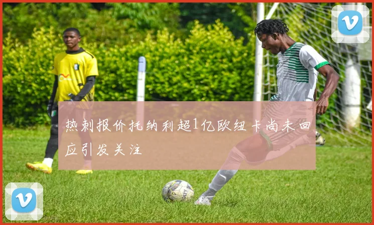 热刺报价托纳利超1亿欧纽卡尚未回应引发关注