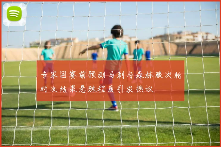 专家团赛前预测马刺与森林狼次轮对决结果悬殊程度引发热议